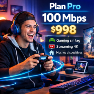 Plan Pro 100 Megas